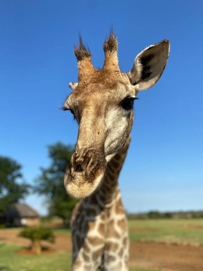 Morakane Safari Lodge Vryburg Buitenkant foto
